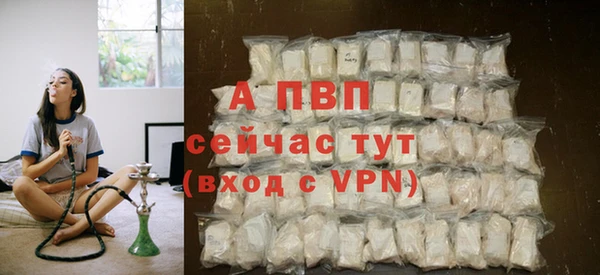 эйфоретик Сосновый Бор