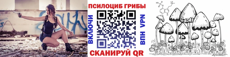 купить закладку  Высоцк  Галлюциногенные грибы ЛСД 
